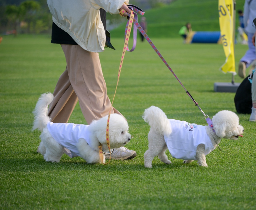 2 순천시, 동물등록비용·길고양이 중성화 지원.jpg