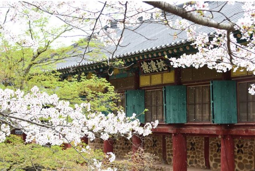 1 순천 송광사 침계루.jpg