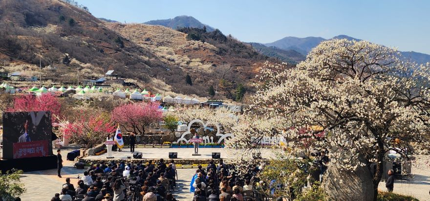 (3. 13.) 제25회 광양매화축제, 화려한 개막으로 열흘간 일정 돌입 - 관광과(개막사진2).jpg