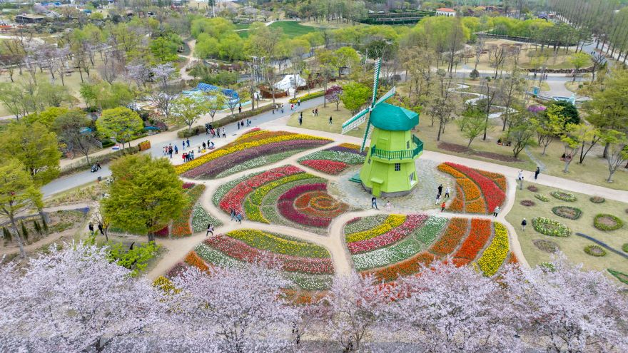 1 순천만국가정원 네덜란드정원 (2).jpg