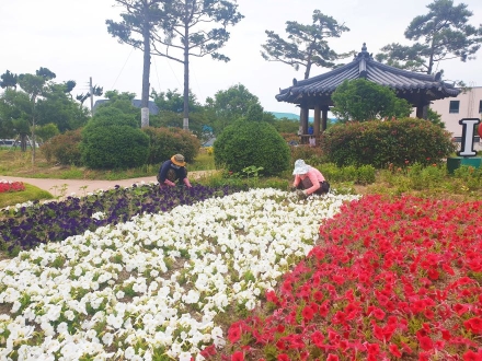 보성군, 상반기 직접 일자리 사업 참여자 모집
