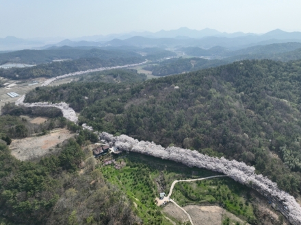 고흥군, 중앙아시아 고려인 청소년에게 고흥의 매력을 알리다