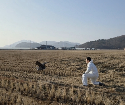 순천시, 순천만 흑두루미 9마리 위치추적기 부착 성공
