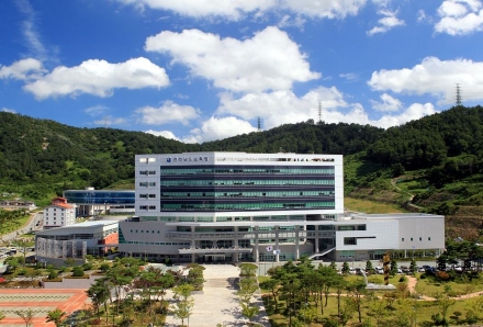 전남교육청, 전남광주 행정통합 법률안 상임위 통과 ‘환영’