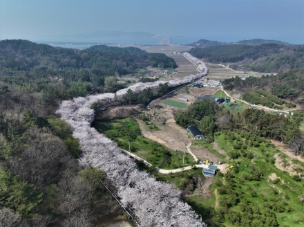 3월, 봄바람 따라 떠나는 고흥 여행