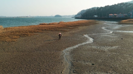 광양시, 기후위기 대응 ‘블루카본’ 숲 조성 본격 추진