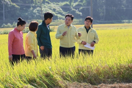 장흥군, 병충해 피해 현장 점검 “농가 피해 최소화 총력”